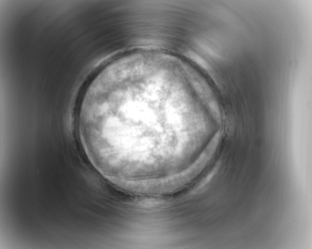 X0000088411074200706051149