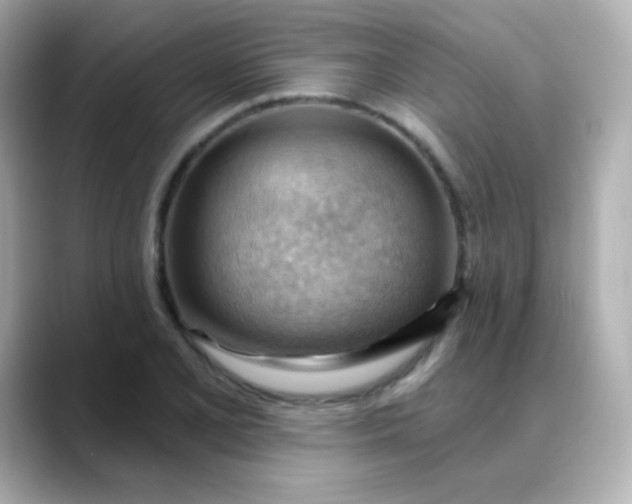 X0000088411077200706051149