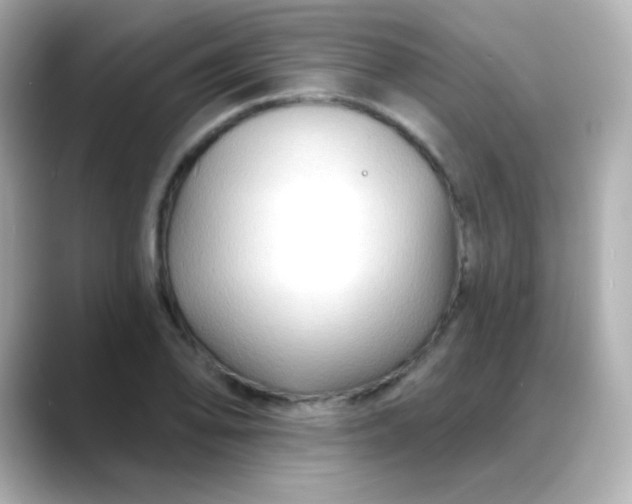 X0000088411078200706051149