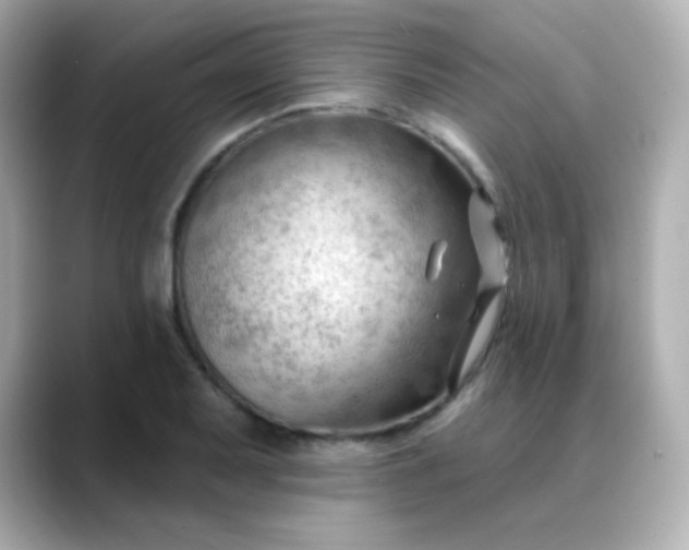X0000088411079200706051149