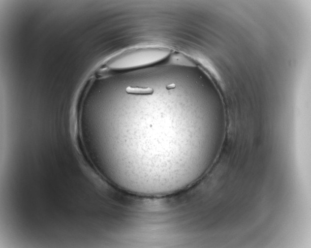 X0000088411080200706051149