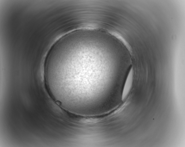 X0000088411083200706051149