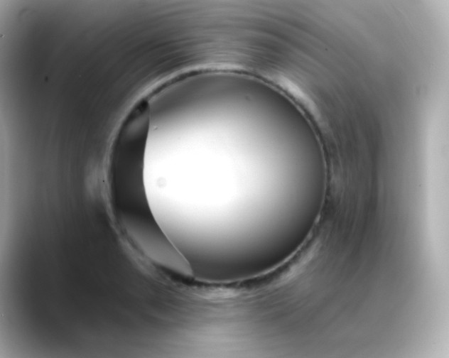 X0000088411085200706051149