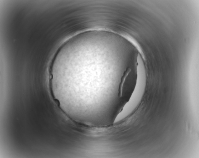 X0000088411096200706051149