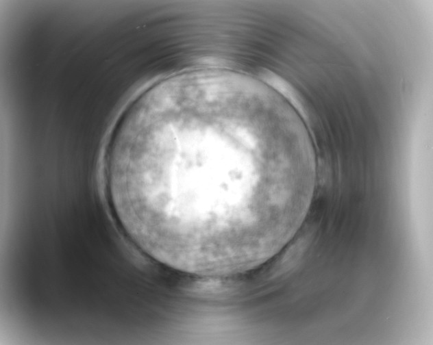 X0000088411098200706051149