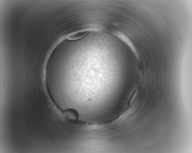 X0000088411099200706051149