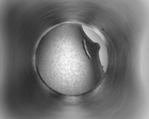 X0000088411100200706051149