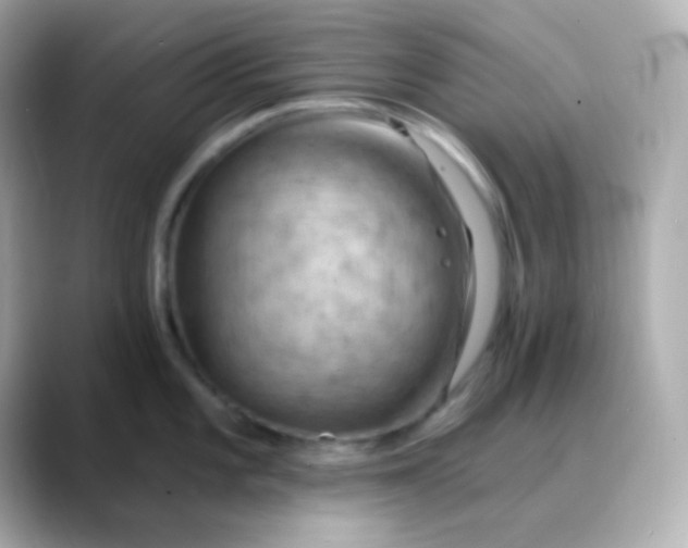 X0000088411101200706051149