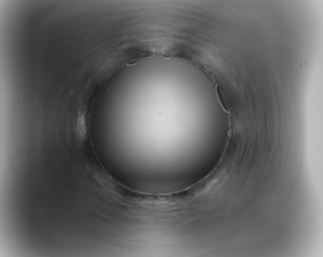 X0000088411106200706051148