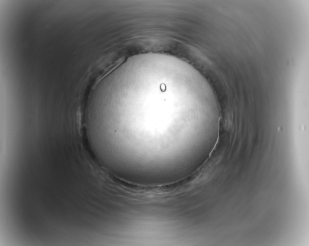X0000088411108200706051148