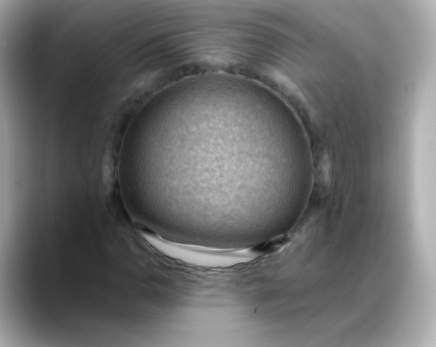 X0000088411110200706051148