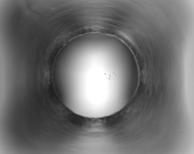 X0000088411111200706051149