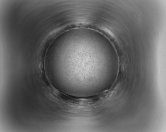 X0000088411112200706051149