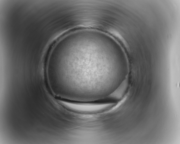 X0000088411114200706051149