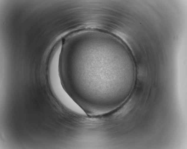 X0000088411115200706051149