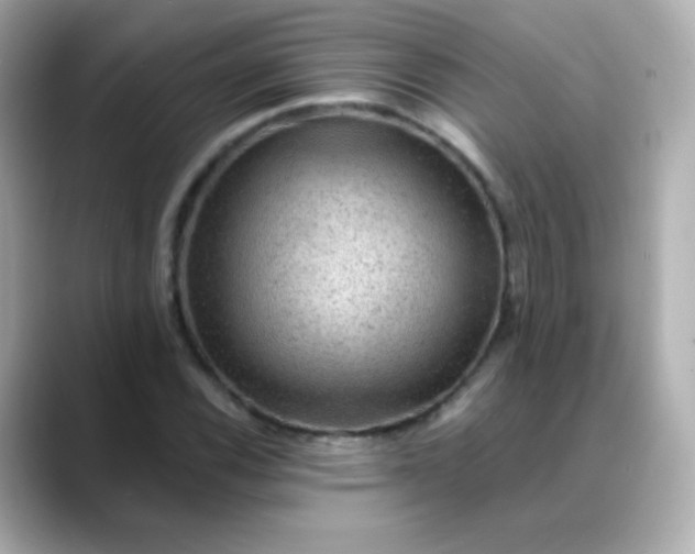 X0000088411116200706051149
