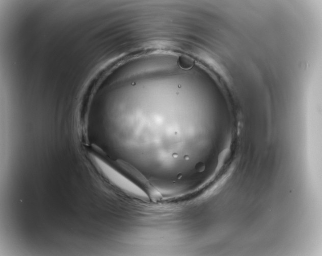X0000088411117200706051149