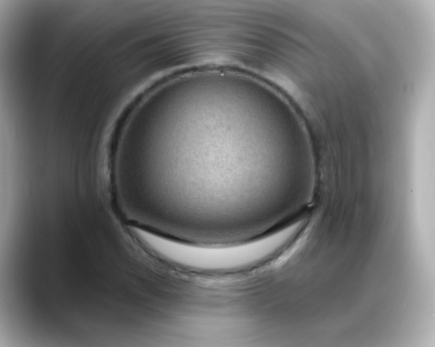 X0000088411118200706051149