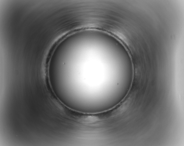 X0000088411119200706051149