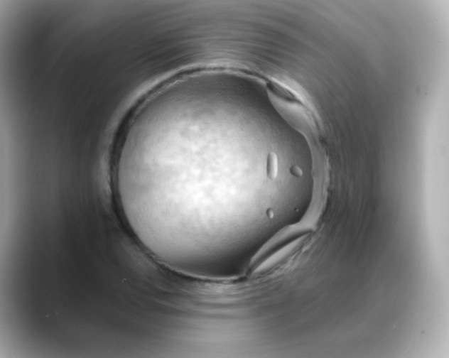 X0000088411120200706051149