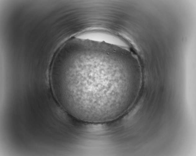 X0000088411121200706051149