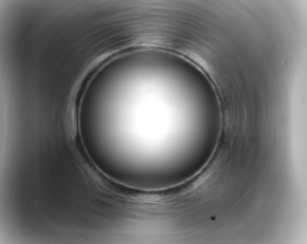 X0000088411123200706051149