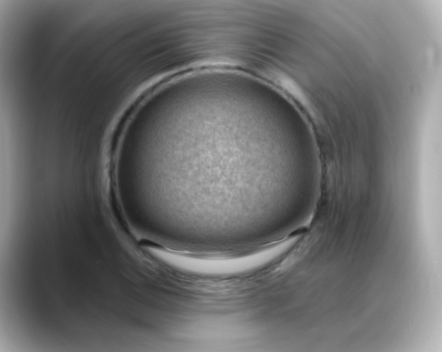X0000088411124200706051149