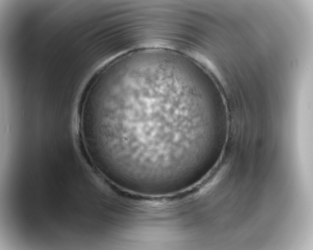 X0000088411125200706051149