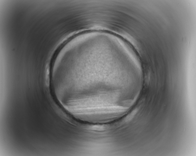 X0000088411126200706051149