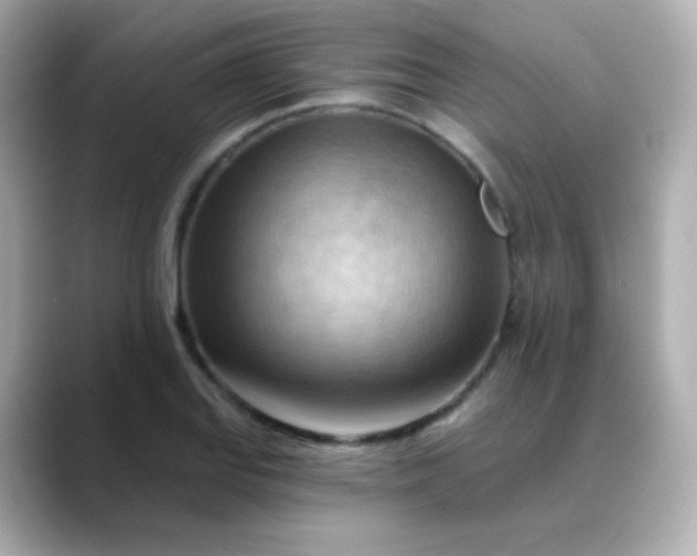 X0000088411127200706051149