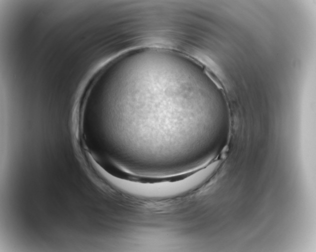 X0000088411128200706051149