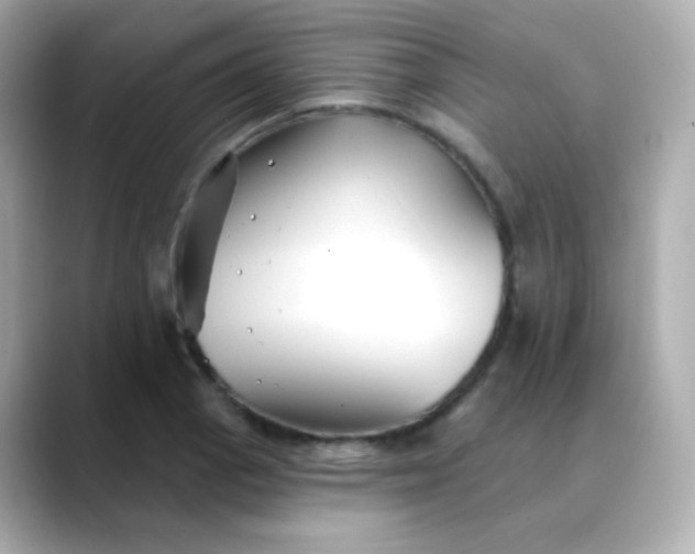 X0000088411129200706051149