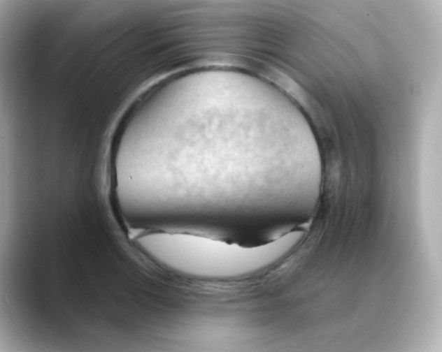 X0000088411132200706051149