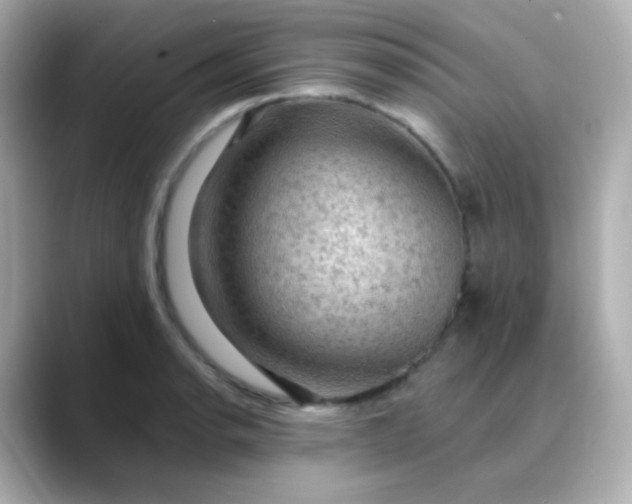 X0000088411134200706051149