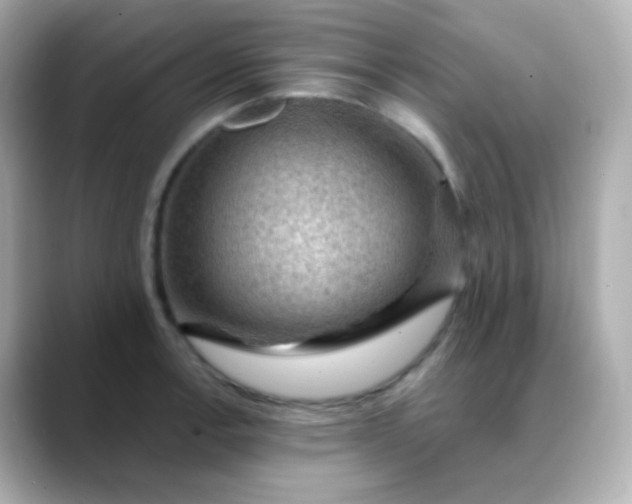 X0000088411138200706051149