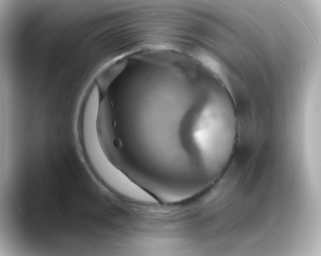 X0000088411141200706051149