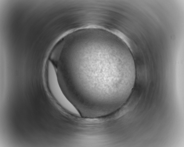 X0000088411142200706051149