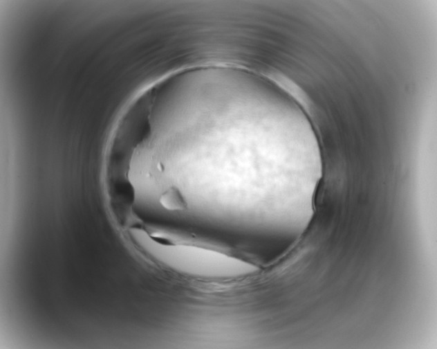 X0000088411144200706051149
