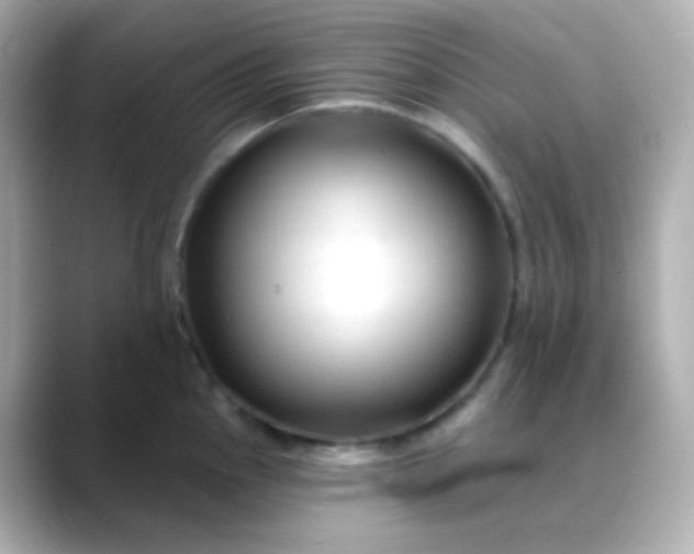 X0000088411145200706051149