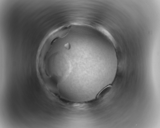 X0000088411146200706051149