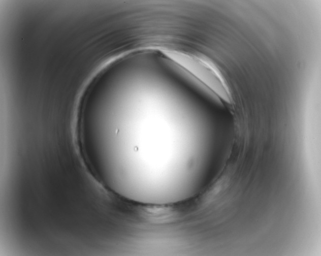 X0000088411147200706051149