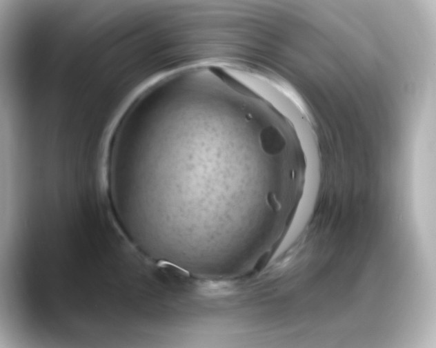 X0000088411148200706051149