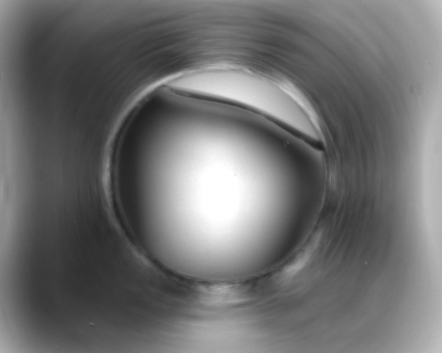 X0000088411149200706051149