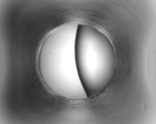 X0000088411152200706051149