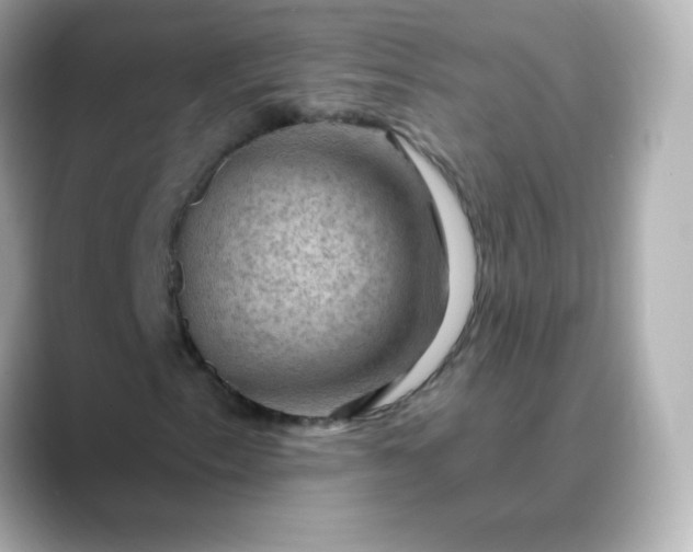 X0000088411153200706051148