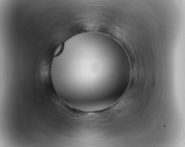 X0000088411154200706051148