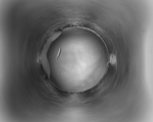 X0000088411155200706051148