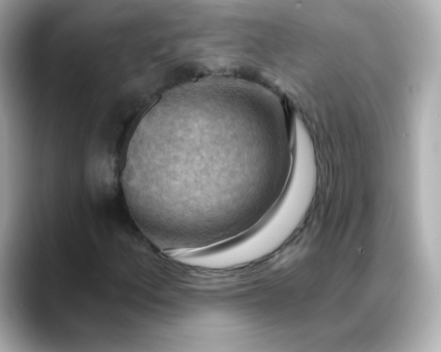 X0000088411156200706051148