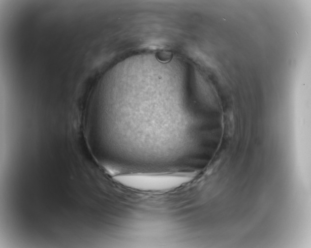 X0000088411158200706051148