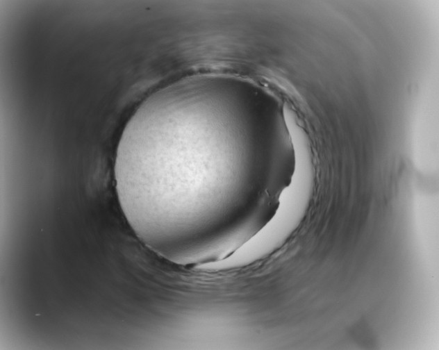 X0000088411160200706051148